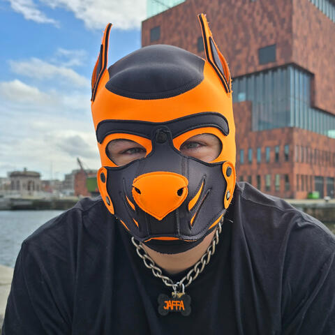 Pup Jaffa